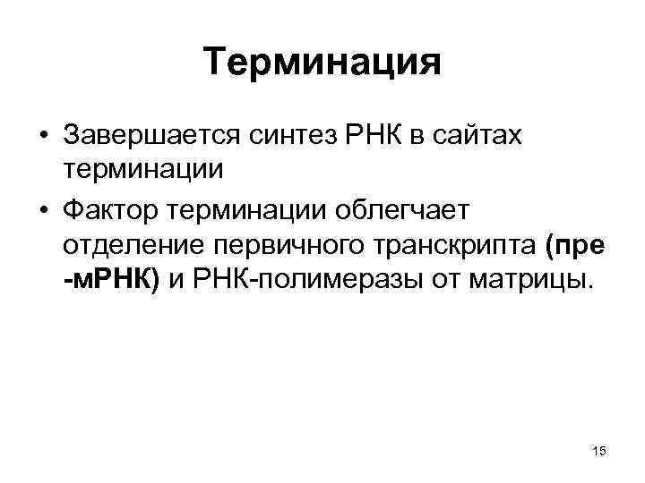 Терминация • Завершается синтез РНК в сайтах терминации • Фактор терминации облегчает отделение первичного