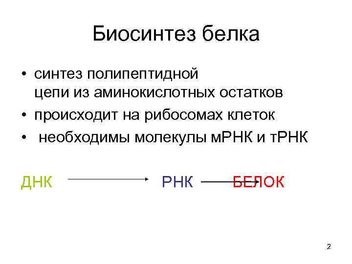 Биосинтез белка • синтез полипептидной цепи из аминокислотных остатков • происходит на рибосомах клеток