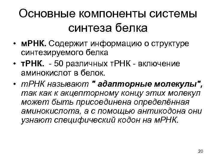 Основные компоненты системы синтеза белка • м. РНК. Содержит информацию о структуре синтезируемого белка