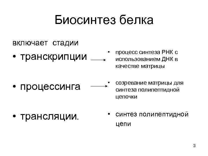 Биосинтез белка включает стадии • транскрипции • процесс синтеза РНК с использованием ДНК в