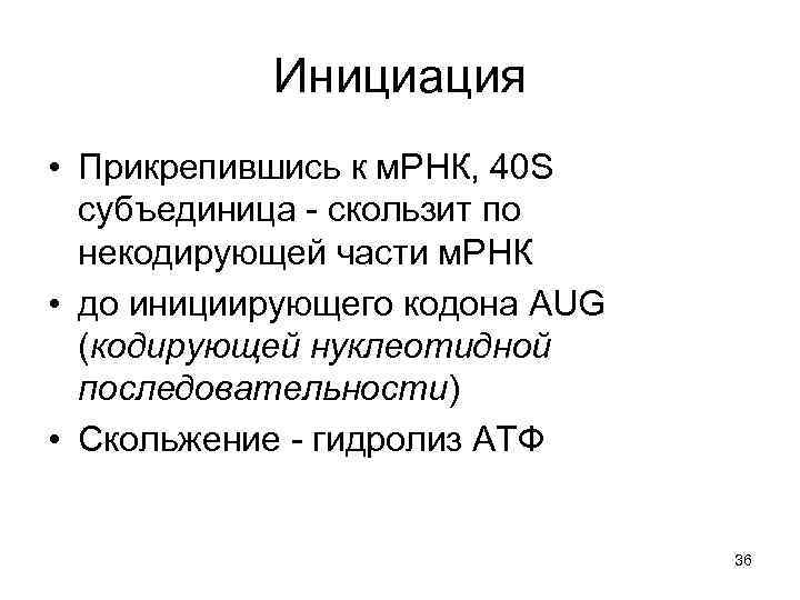Инициация • Прикрепившись к м. РНК, 40 S субъединица - скользит по некодирующей части