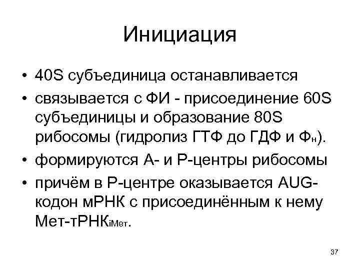 Инициация • 40 S субъединица останавливается • связывается с ФИ - присоединение 60 S