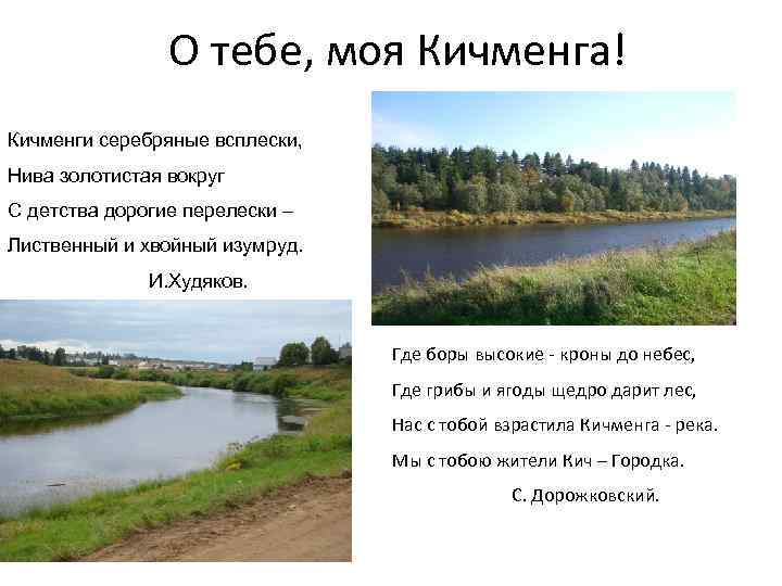 О тебе, моя Кичменга! Кичменги серебряные всплески, Нива золотистая вокруг С детства дорогие перелески