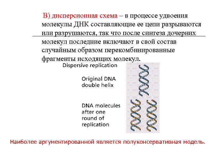 Перенос наследственной информации. Удвоение молекулы ДНК. Реализация генетической информации. Кодирование генетической информации. Процесс удваивания генетической информации.