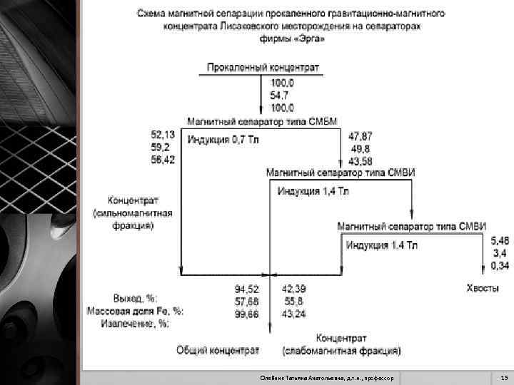 Олейник Татьяна Анатольевна, д. т. н. , профессор 15 