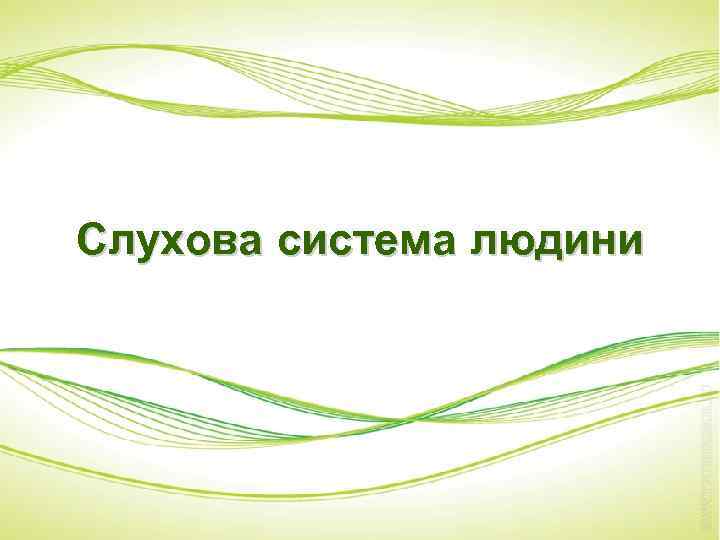 Слухова система людини 