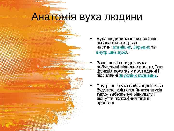 Анатомія вуха людини • Вухо людини та інших ссавців складається з трьох частин: зовнішнє,