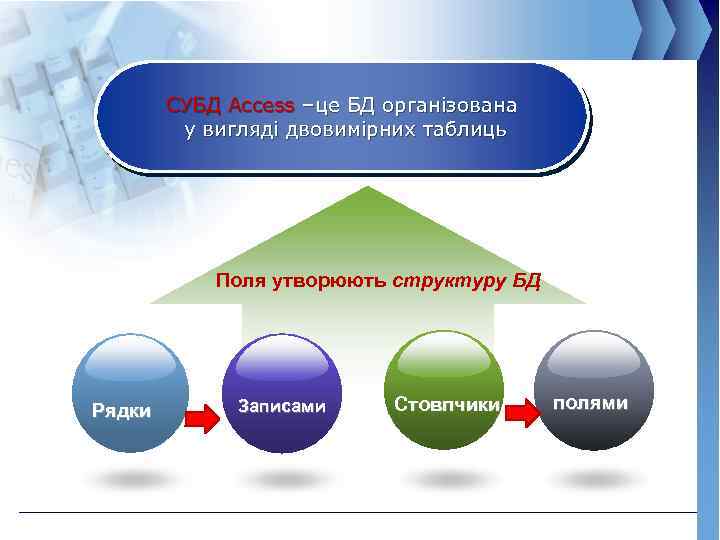 СУБД Access –це БД організована у вигляді двовимірних таблиць Поля утворюють структуру БД Рядки