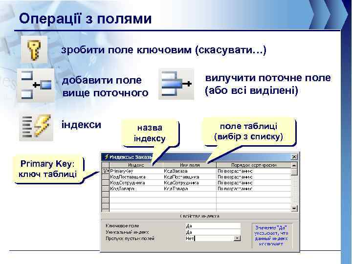 Операції з полями зробити поле ключовим (скасувати…) добавити поле вище поточного індекси Primary Key: