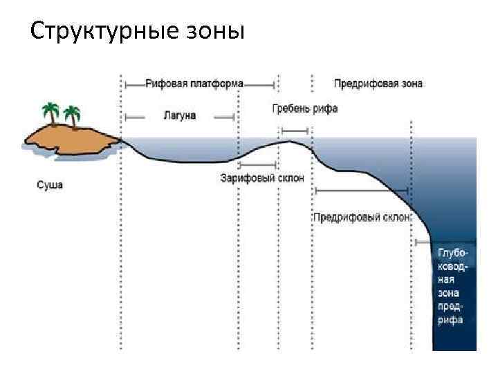 Структурные зоны 