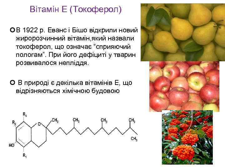 Вітамін Е (Токоферол) В 1922 р. Еванс і Бішо відкрили новий жиророзчинний вітамін, який