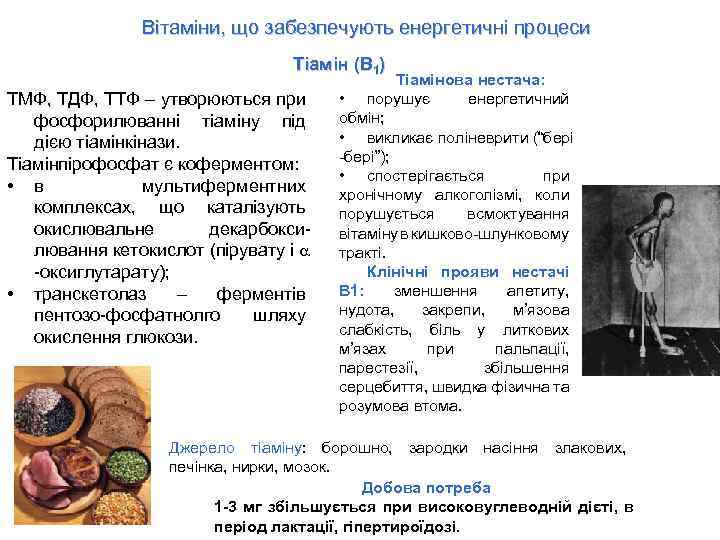 Вітаміни, що забезпечують енергетичні процеси Тіамін (B 1) ТМФ, ТДФ, ТТФ – утворюються при