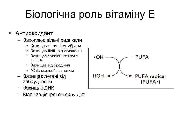 Біологічна роль вітаміну Е • Антиоксидант – Захоплює вільні радикали • Захищає клітинні мембрани