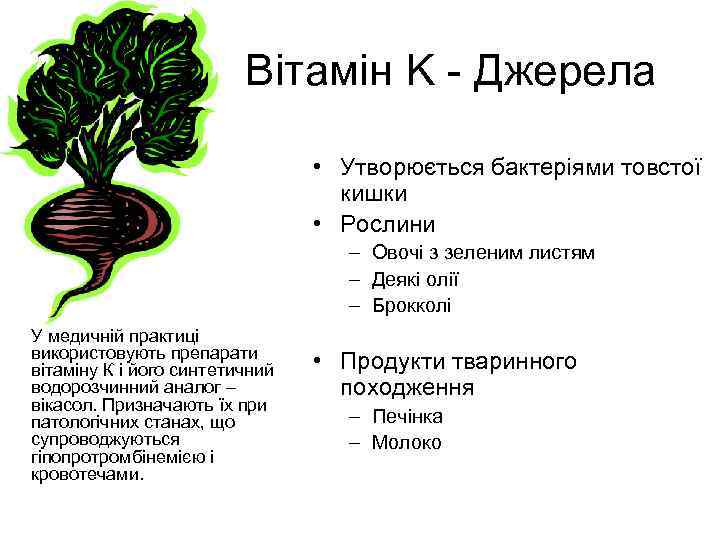 Вітамін K - Джерела • Утворюється бактеріями товстої кишки • Рослини – Овочі з