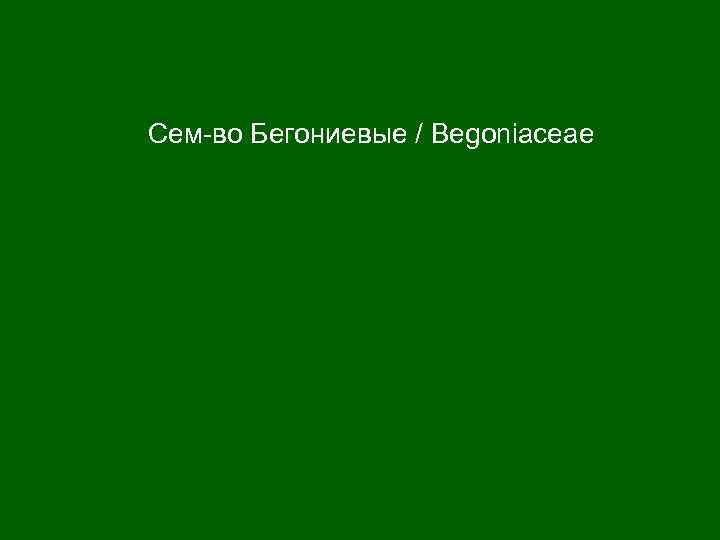 Сем-во Бегониевые / Begoniaceae 
