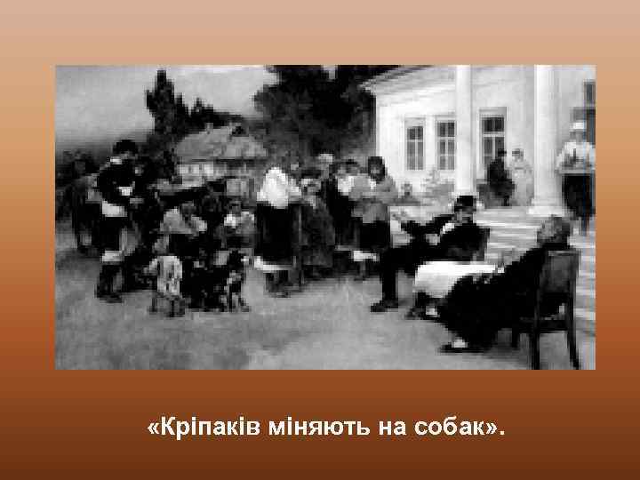  «Кріпаків міняють на собак» . 