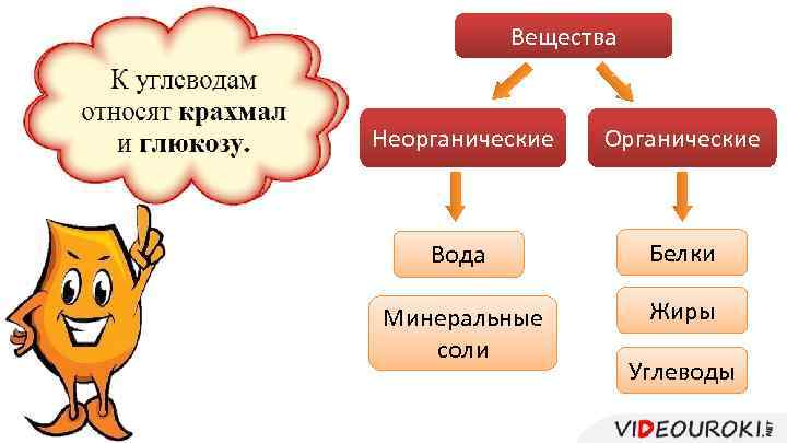 Вещества Неорганические Органические Вода Белки Минеральные соли Жиры Углеводы 