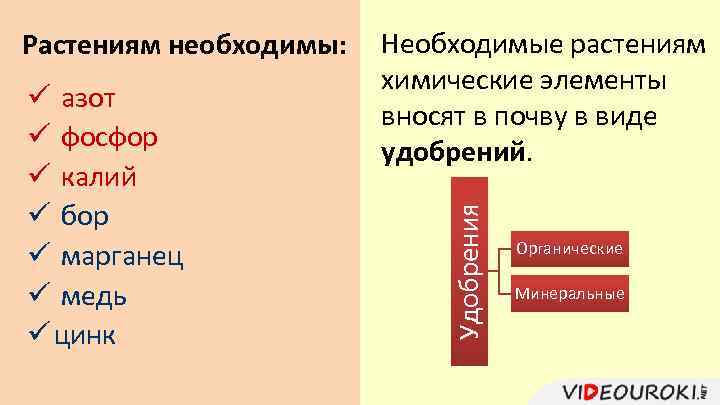 ü азот ü фосфор ü калий ü бор ü марганец ü медь ü цинк