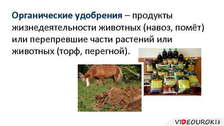 Органические удобрения – продукты жизнедеятельности животных (навоз, помёт) или перепревшие части растений или животных