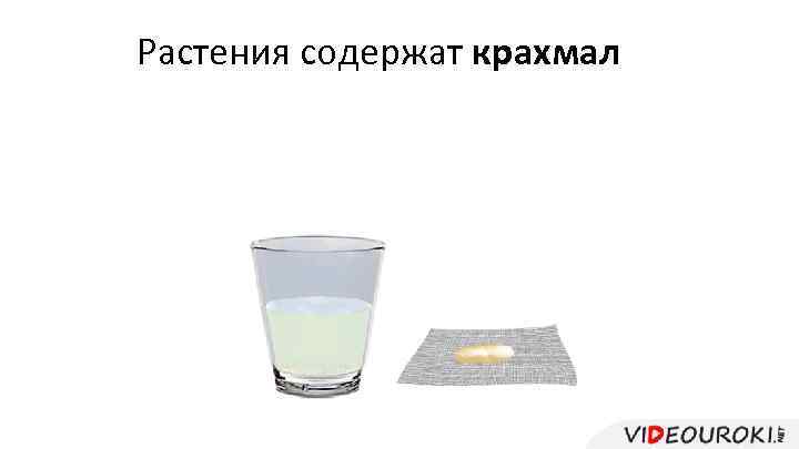 Растения содержат крахмал 