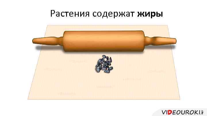 Растения содержат жиры 