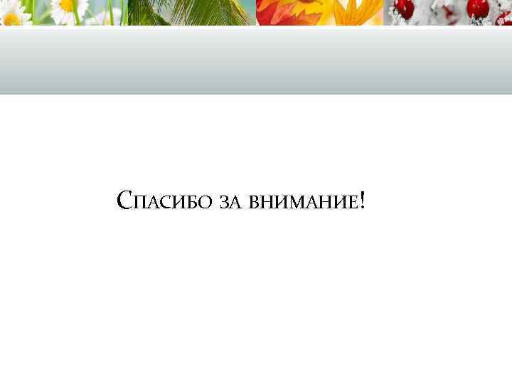 СПАСИБО ЗА ВНИМАНИЕ! 
