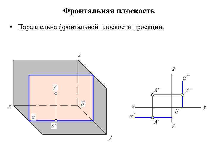Фронтальная плоскость • Параллельна фронтальной плоскости проекции. 