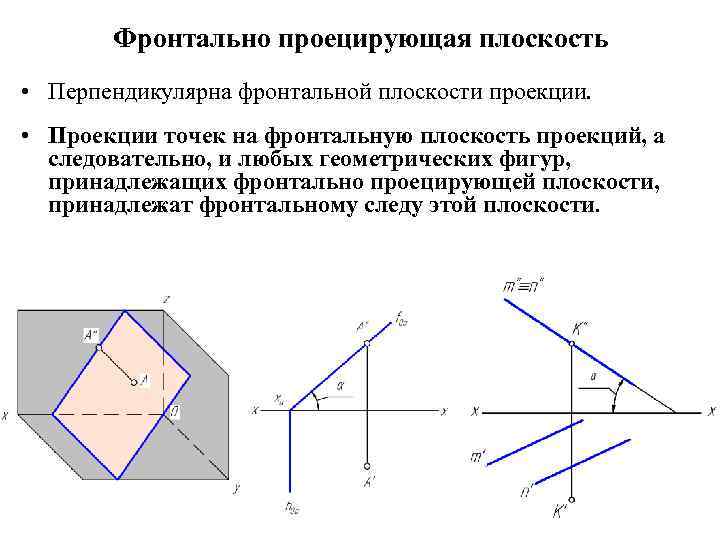 Фронтальная проекция принадлежащих фронтальной плоскости