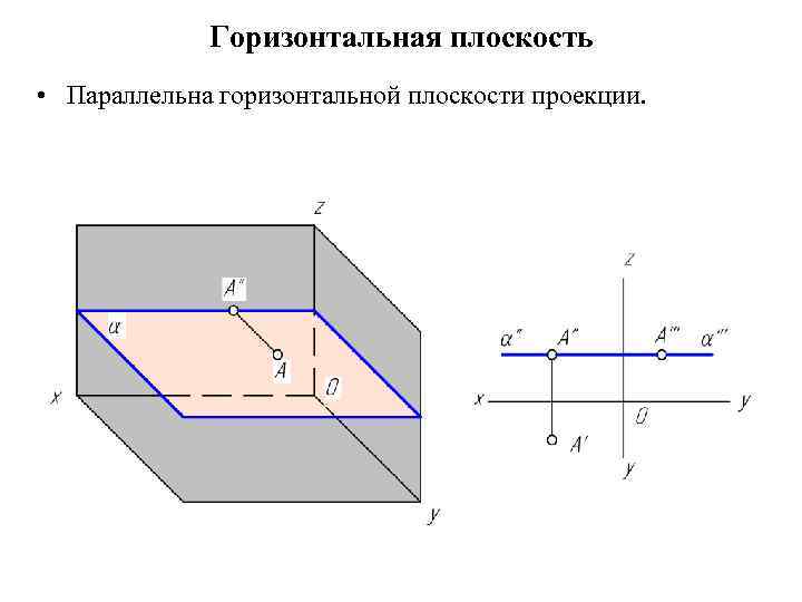 Горизонтальная плоскость • Параллельна горизонтальной плоскости проекции. 