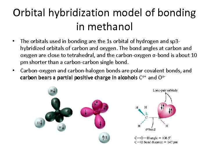 Orbital hybridization model of bonding in methanol • The orbitals used in bonding are