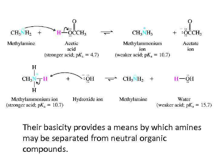 Their basicity provides a means by which amines may be separated from neutral organic