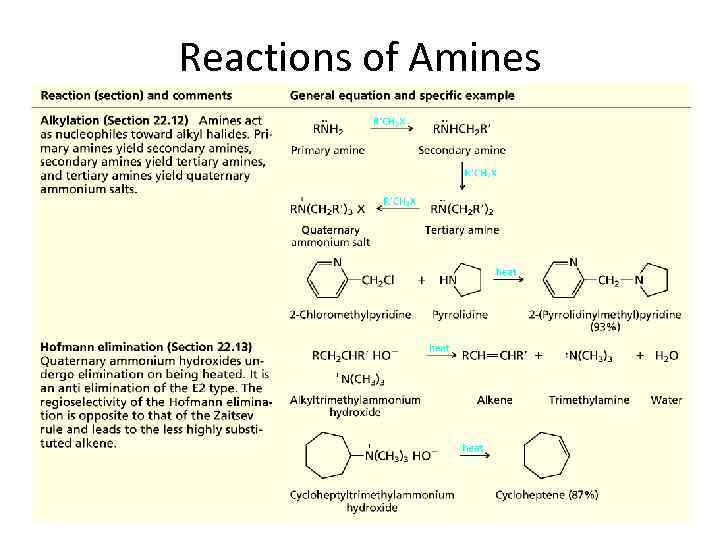 Reactions of Amines 