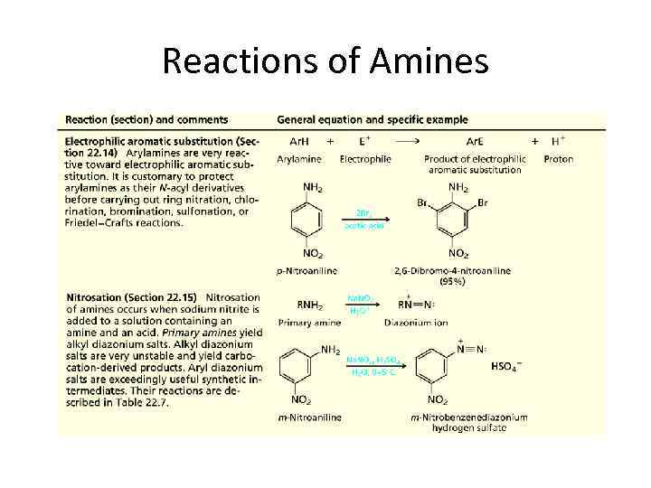 Reactions of Amines 