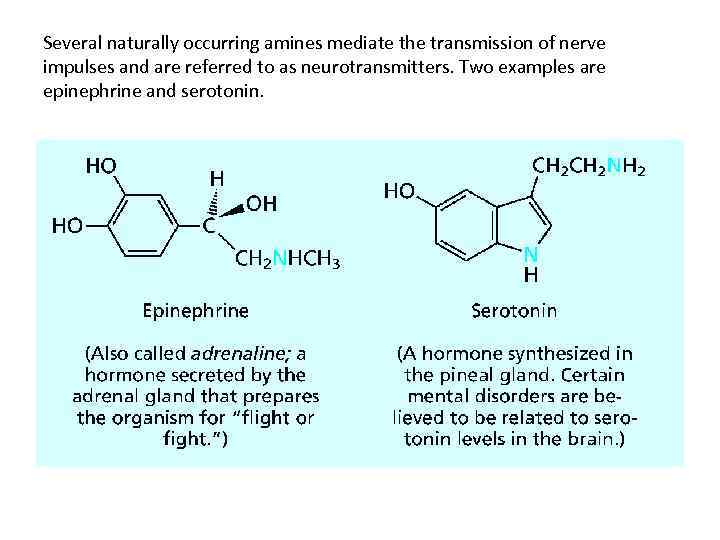 Several naturally occurring amines mediate the transmission of nerve impulses and are referred to