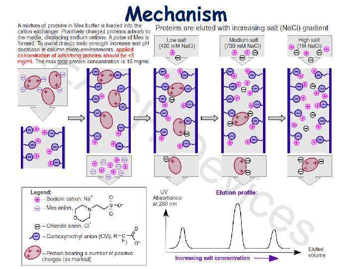 Mechanism 