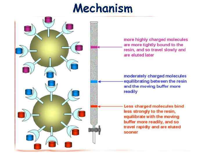 Mechanism 