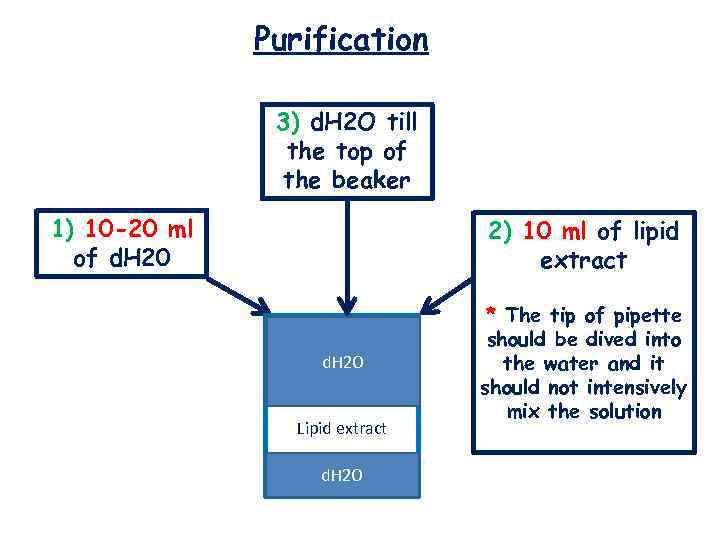 Purification 3) d. H 2 O till the top of the beaker 1) 10