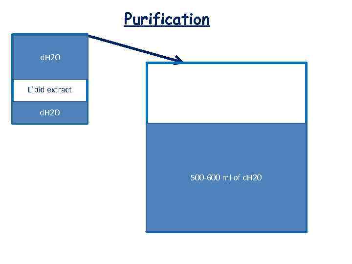 Purification d. H 2 O Lipid extract d. H 2 O 500 -600 ml