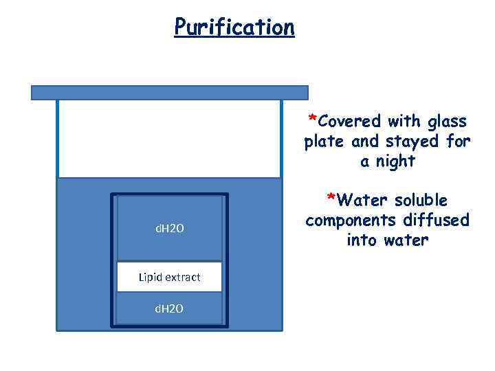 Purification *Covered with glass plate and stayed for a night d. H 2 O