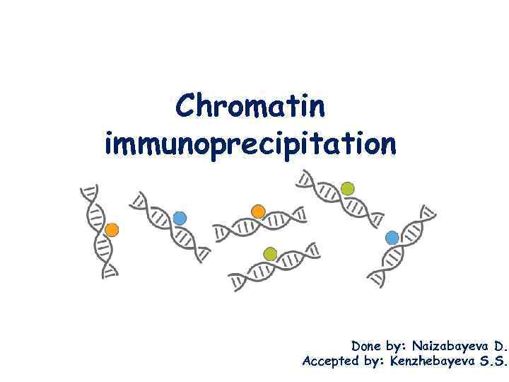 Chromatin immunoprecipitation Done by: Naizabayeva D. Accepted by: Kenzhebayeva S. S. 