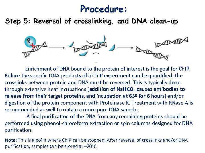 Procedure: Step 5: Reversal of crosslinking, and DNA clean-up Enrichment of DNA bound to