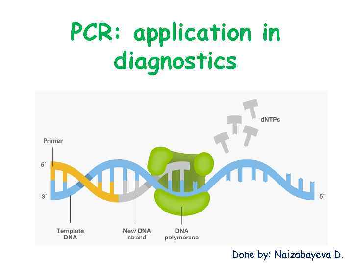 PCR: application in diagnostics Done by: Naizabayeva D. 