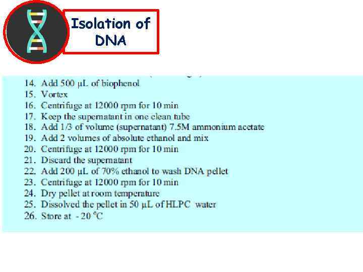 Isolation of DNA 