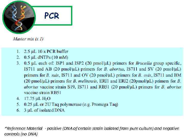 PCR *Reference Material - positive (DNA of certain strain isolated from pure culture) and