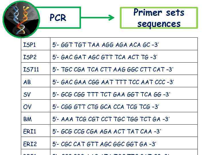 PCR Primer sets sequences ISP 1 5’- GGT TAA AGG AGA ACA GC –