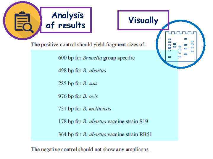 Analysis of results Visually 