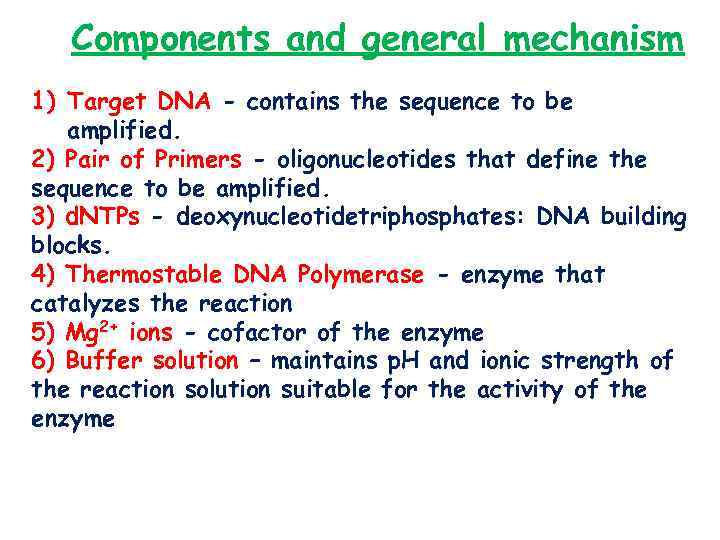 Components and general mechanism 1) Target DNA - contains the sequence to be amplified.