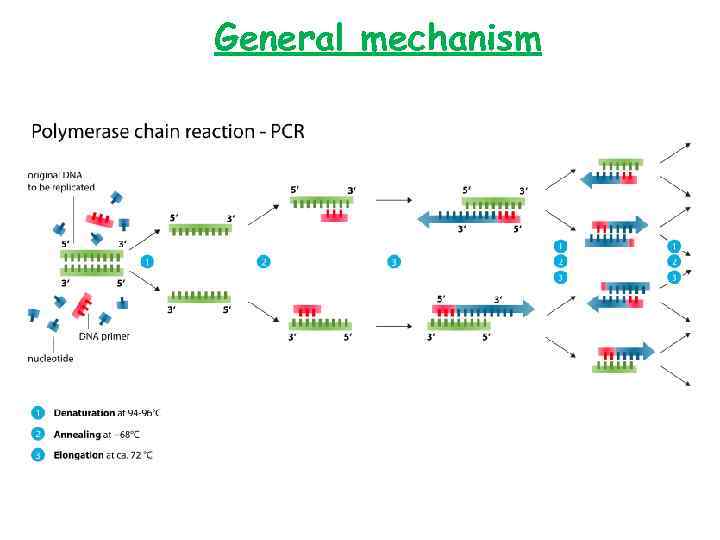 General mechanism 