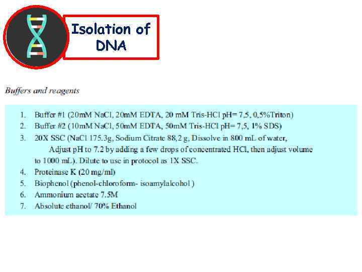 Isolation of DNA 