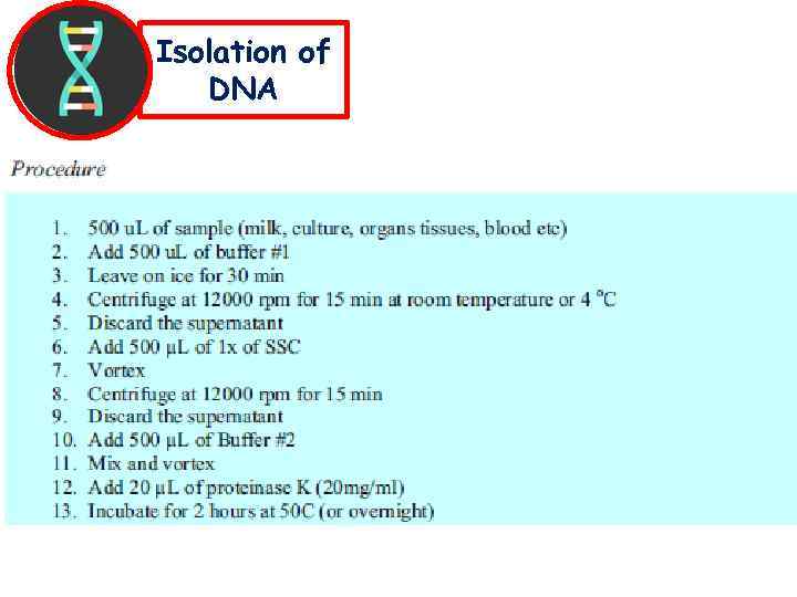 Isolation of DNA 